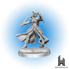 D&D Frameworks: Tiefling Rogue Female